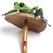 Tim Cotterill - Frogman Bronze Frogs